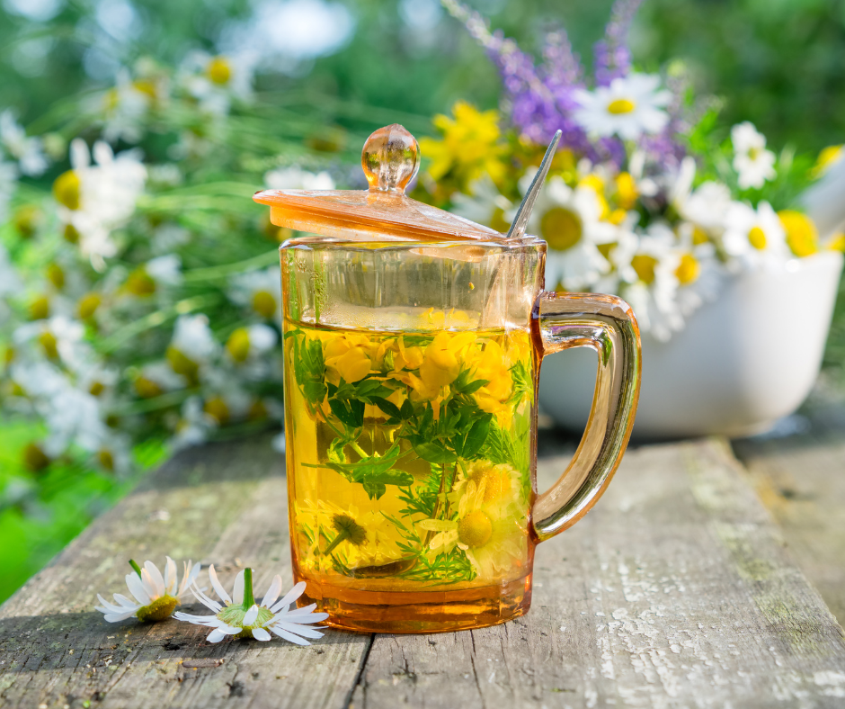 Herbalism for Beginners